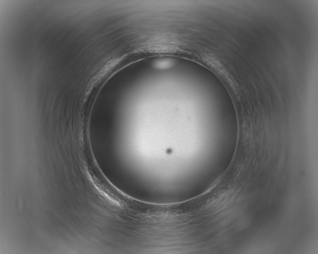 X0000058790533200509301143