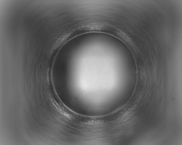 X0000058790537200509301143