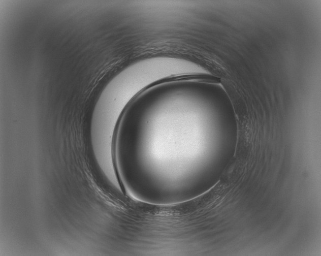 X0000058790546200509301144
