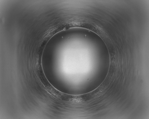 X0000058790548200509301144