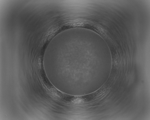 X0000058790551200509301144