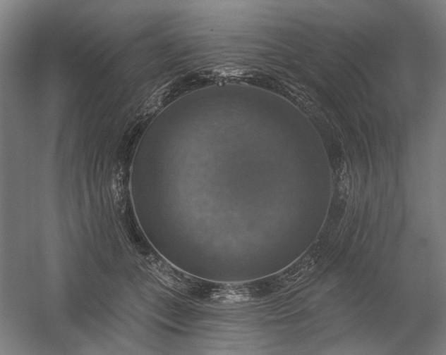 X0000058790559200509301144