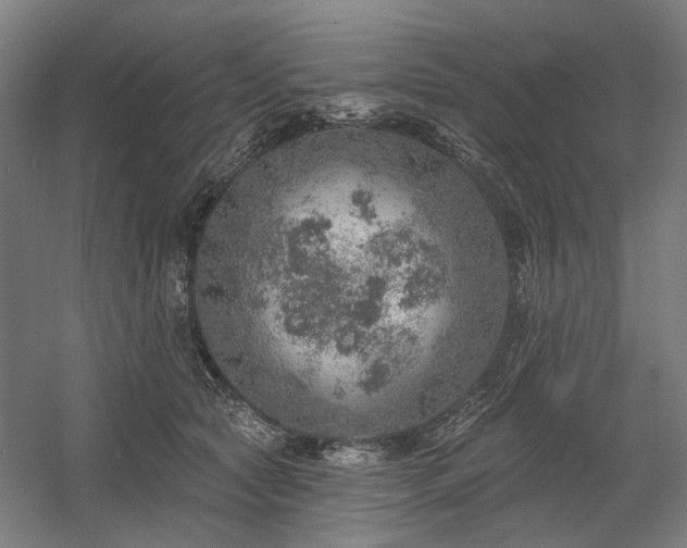 X0000058790561200509301144