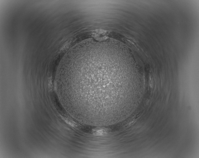 X0000058790564200509301144