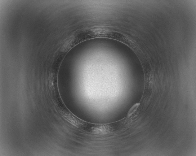 X0000058790567200509301144
