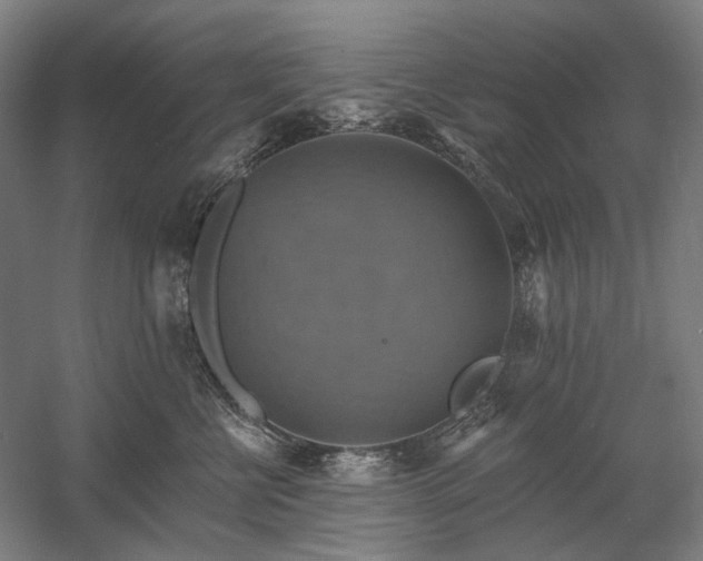 X0000058790570200509301144