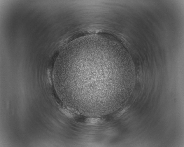 X0000058790575200509301144