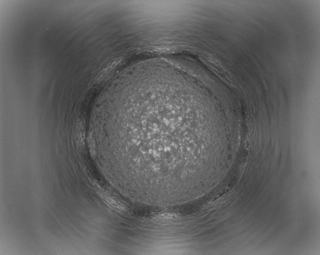 X0000058790593200509301143