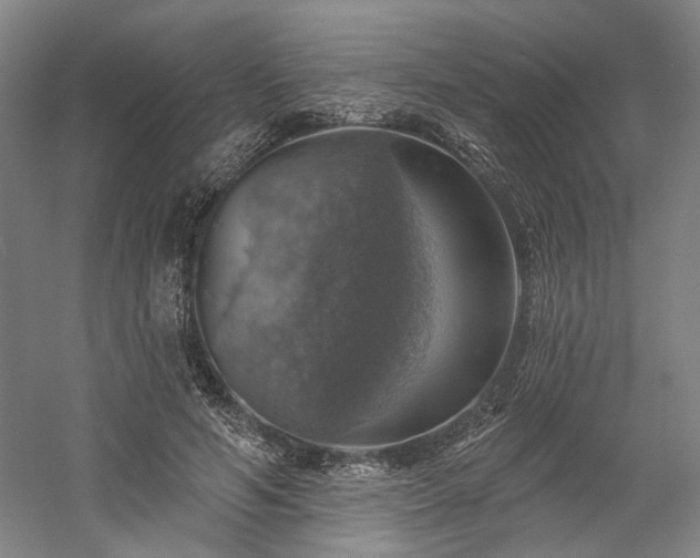 X0000058790594200509301143