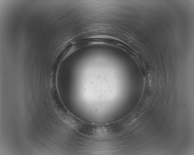 X0000058790600200509301143