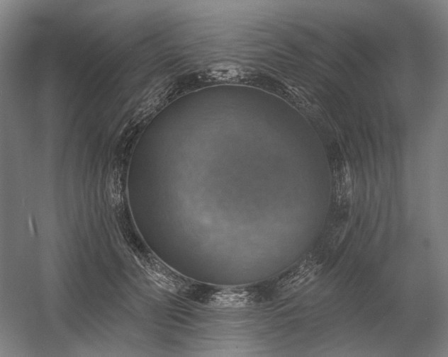 X0000058790606200509301143