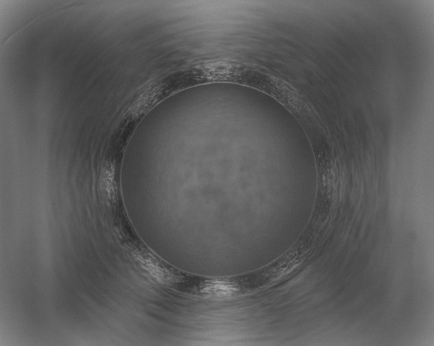 X0000058790610200509301143
