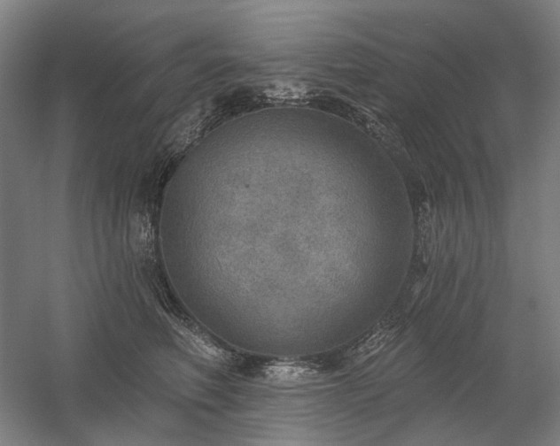 X0000058790614200509301143