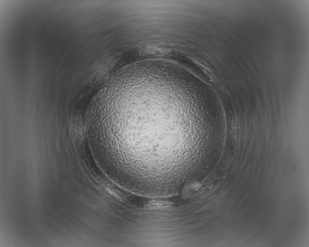 X0000058790617200509301143