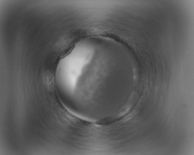 X0000058790624200509301142