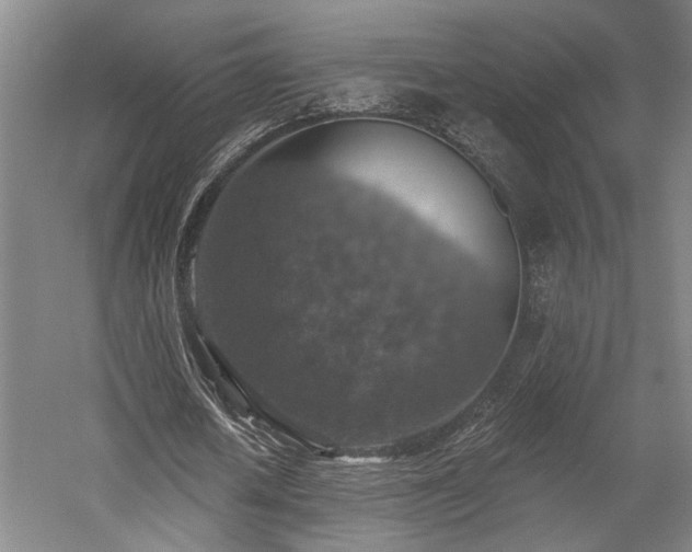 X0000058790626200509301142