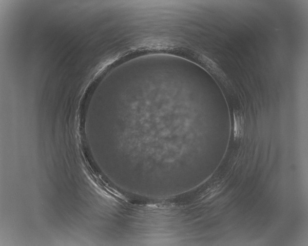 X0000058790627200509301142