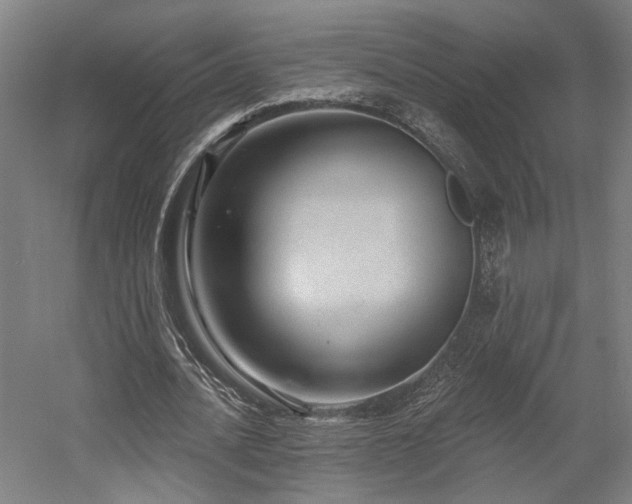 X0000058790628200509301142