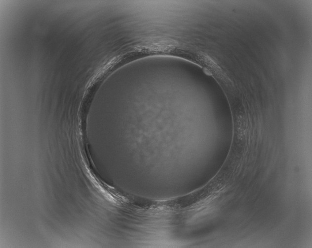 X0000058790634200509301142