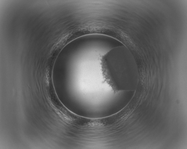 X0000058790644200509301142