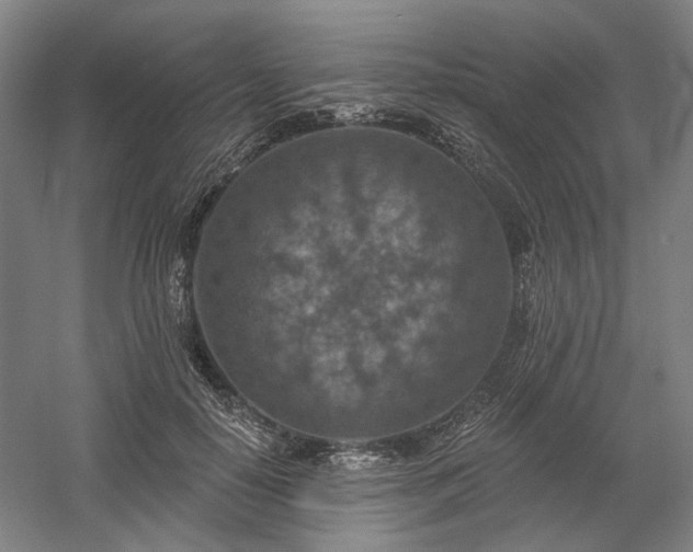 X0000058790650200509301142