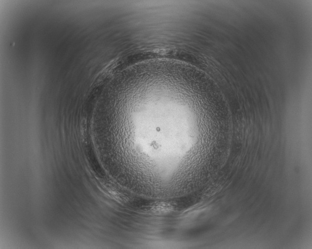 X0000058790656200509301142