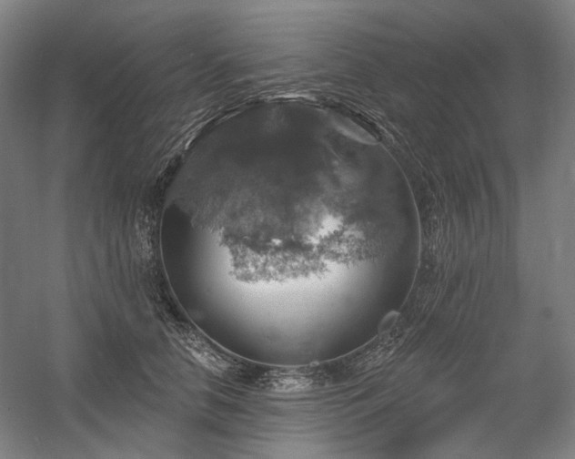X0000058790658200509301142