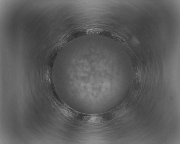 X0000058790663200509301142