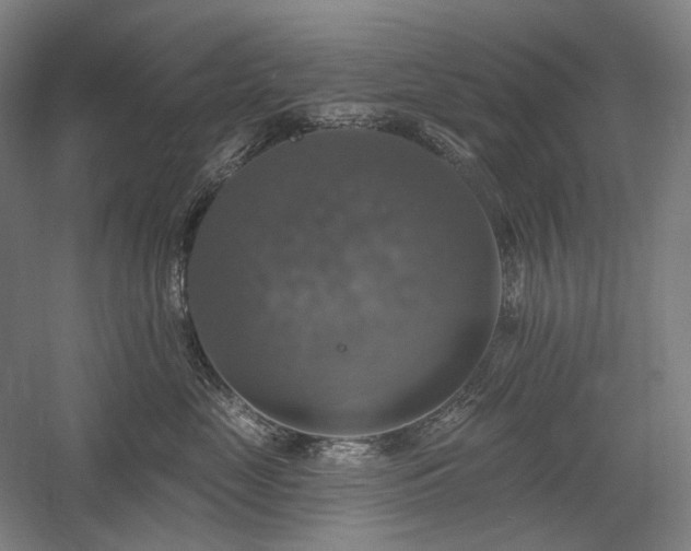 X0000058790669200509301142
