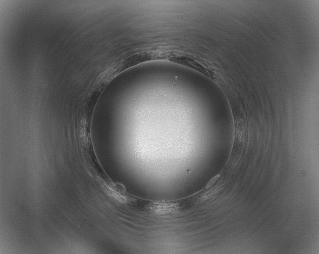 X0000058790670200509301142