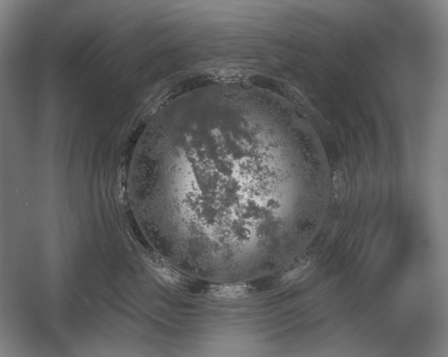 X0000058790671200509301142