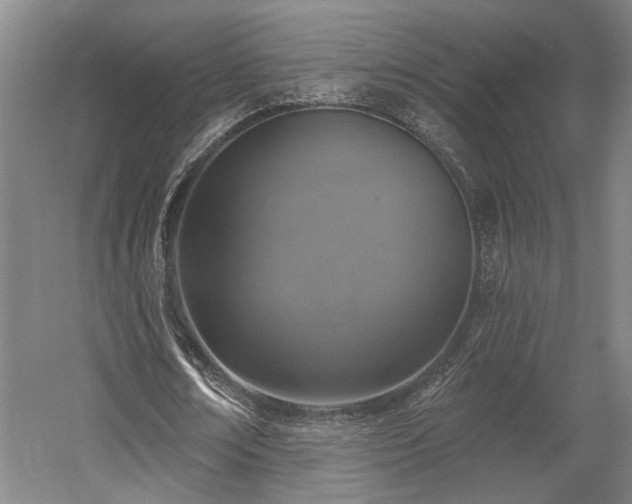 X0000058790674200509301142