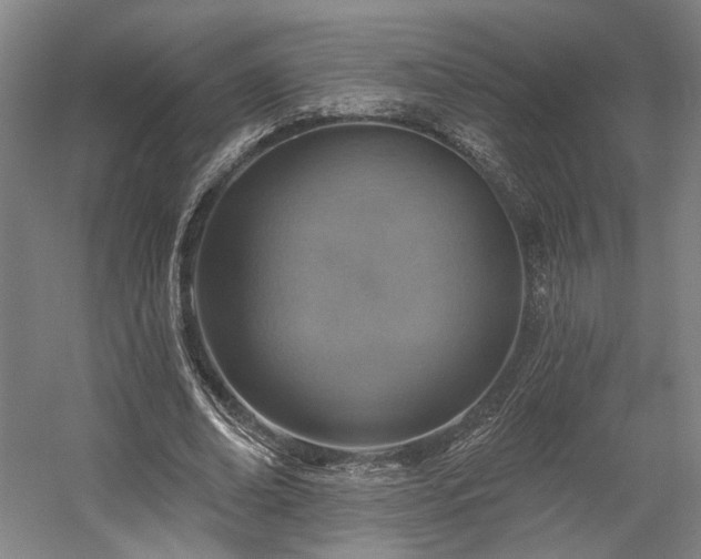 X0000058790678200509301142