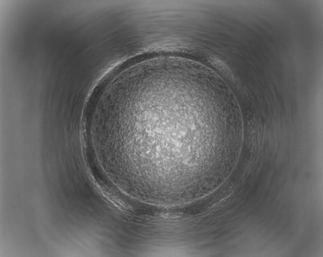 X0000058790680200509301141