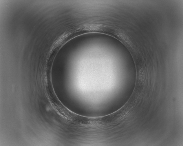 X0000058790682200509301141
