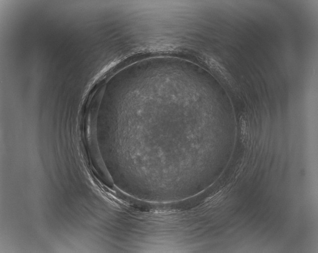 X0000058790684200509301141
