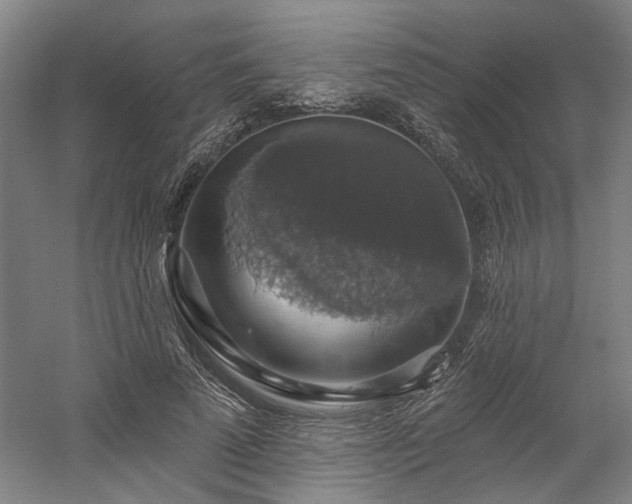 X0000058790689200509301141