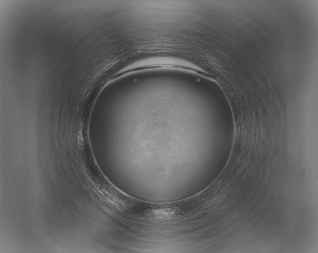 X0000058790692200509301141