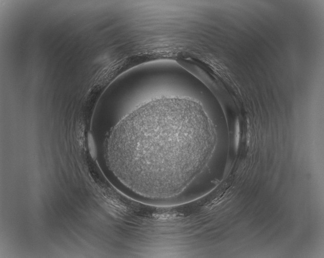 X0000058790693200509301141