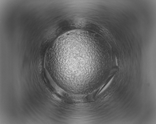 X0000058790697200509301141