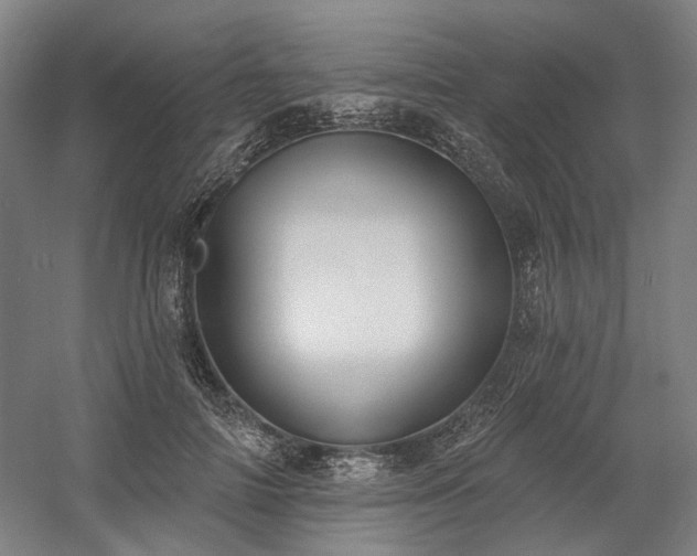 X0000058790698200509301141