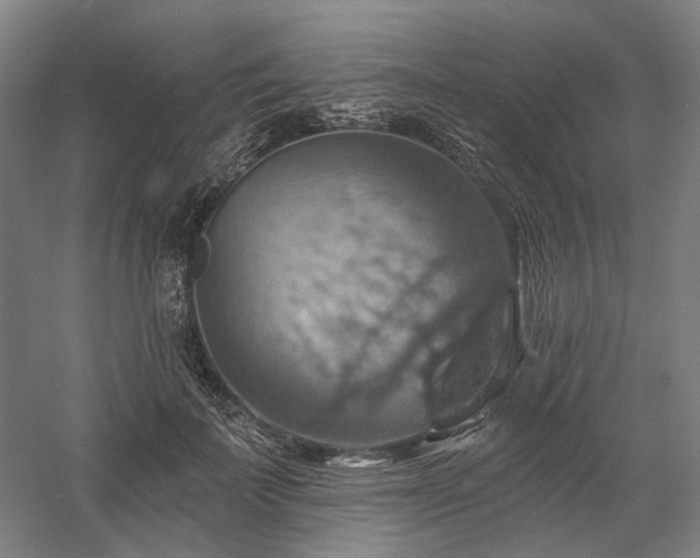 X0000058790699200509301141