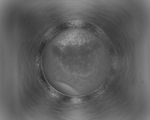 X0000058790701200509301141