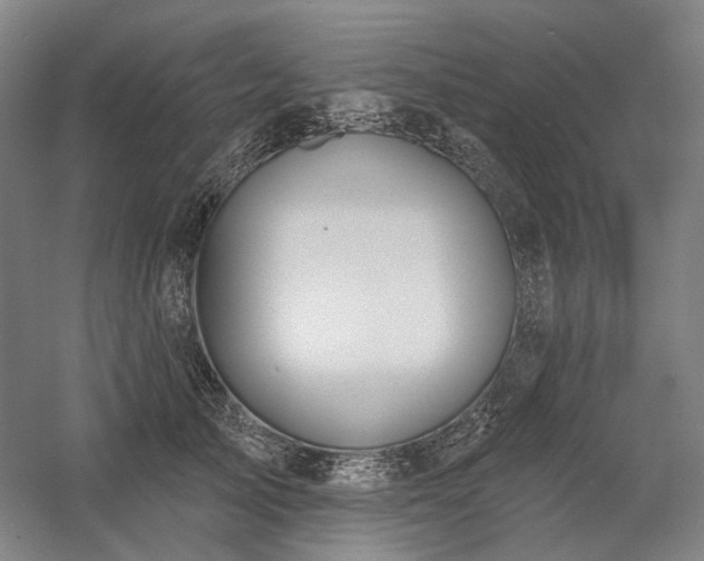 X0000058790705200509301141