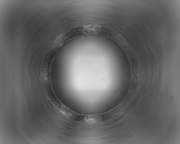 X0000058790706200509301141