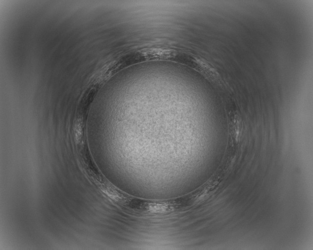 X0000058790709200509301141