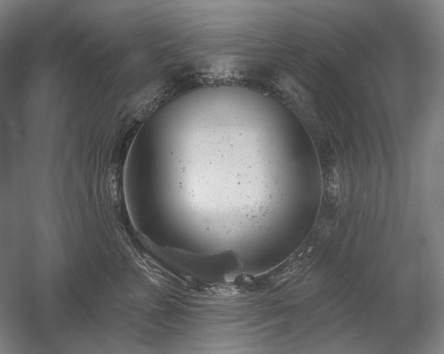 X0000058790715200509301141