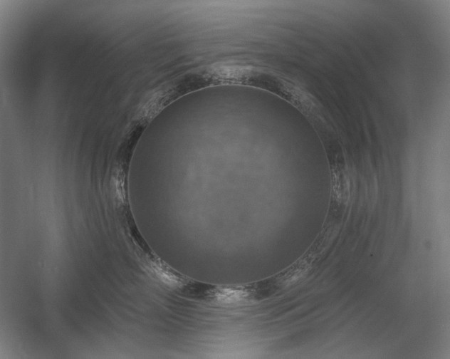 X0000058790718200509301141
