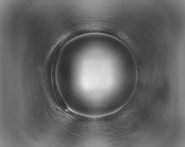 X0000058790731200509301140