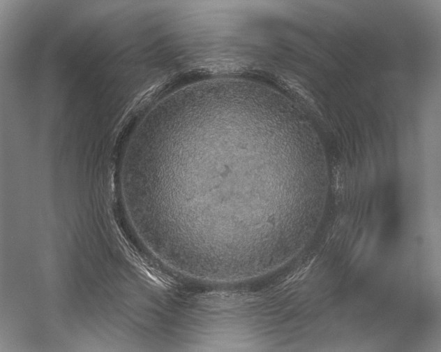 X0000058790733200509301140